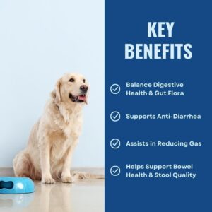 Gut Health for Dogs | 3 in 1 Prebiotic Probiotic Postbiotic | Supports Digestive Health, Anti Diarrhea | Puppy to Senior Dog | Powder 60 g