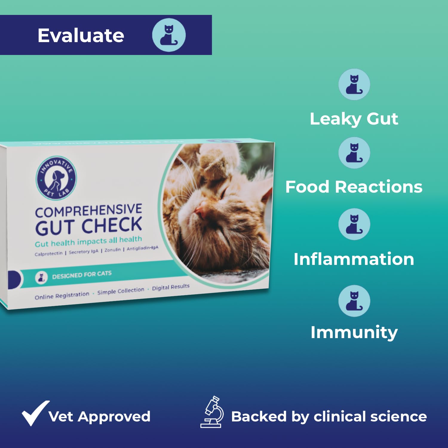 Innovative Pet Lab Comprehensive Gut Health Test Kit for Cats - at-Home Cat Stool Test for Immune & Gluten Sensitivity Symptoms Like Diarrhea, Vomiting, Itchy Skin - Easy Non-Invasive Testing Kit