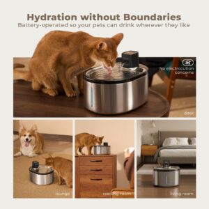 Smartoo Wireless Cat Water Fountain Stainless Steel, 152oz/4.5L Cat Fountain Battery Operated, Cordless Pet Water Fountain for Cats & Dogs with Motion Sensor, Ultra Quiet Pump, Multi-Filtration