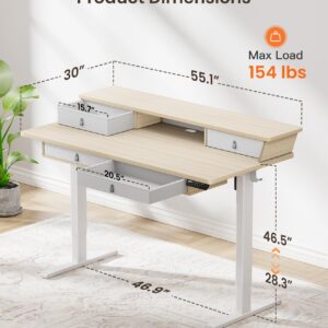 ErGear Standing Desk with Drawers, 55 x 30 Inches Height Adjustable Desk with Storage, Electric Sit Stand Desk, 4 Memory Preset Computer Home Office Desk with Cable Management Tray, Natural