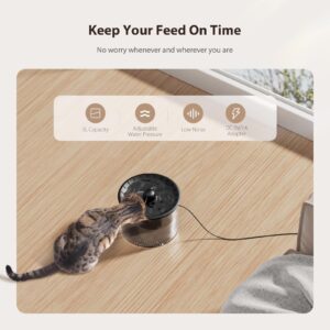 IMIPAW Automatic Cat Feeder and Water Fountain, Timed Pet Dry Food Dispenser, Programmable Portion Control, 1-6 Meals Per Day, Cat Fountains for Drinking with Filter, Small Pets (3L Combo)