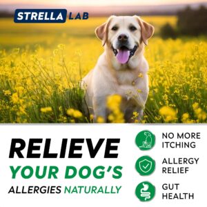 StrellaLab Dog Allergy Relief & Anti Itch Support Chews w/Omega 3: Real Ingredients, Real Taste! Skin & Coat Immune Supplement w/Fish Oil, Pumpkin & Enzymes — Developed by Experts - Made in USA -180Ct