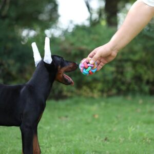 INOOMP Doberman Ear Posting Kit-Ear Posting Kit for Doberman-Dog Ear Posting Kit Dog Ear Tap for Doberman Pinscher Dog