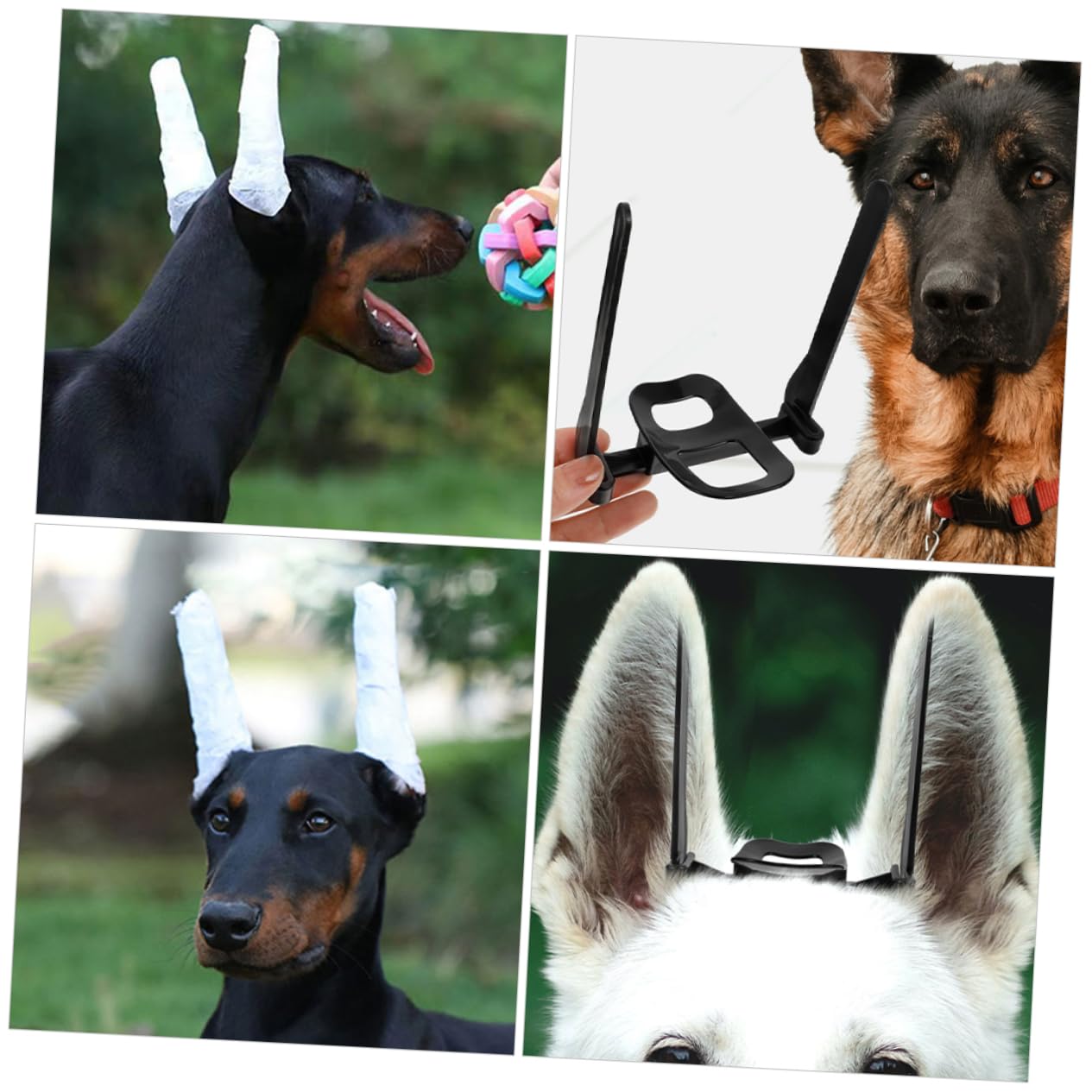 DRESSOOS 1Set Dog Ear Stand Up Support Tool with Puppy Ear Support Tape for Erecting Dog Ears for Doberman and Pinscher Breeds Essential Dog Ear Care Solution