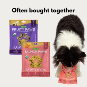 PawFoods Organic Dog Treats Fruity Paws & Salmon - Healthy, Low Calorie, Joint Support, Shiny Coat, Omega 3 & 6, Tasty Puppy Treats for All Dogs, Only 5 Cal, 60 Treats Per Bag - 170g, Made in USA