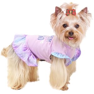 yikeyo dog clothes girl dog dress small dogs puppy dresses pet dress shirt female yorkie chihuahua cat apparel birthday party costume mermaid princess outfit(purple，m)