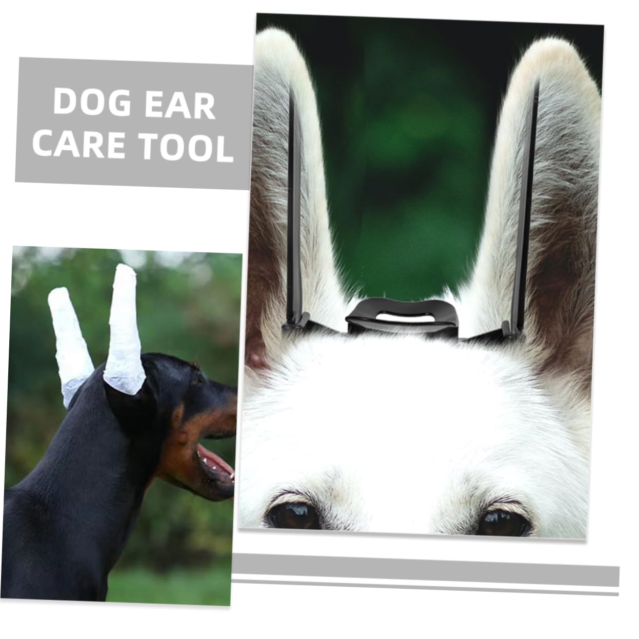 DRESSOOS 1Set Dog Ear Stand Up Support Tool with Puppy Ear Support Tape for Erecting Dog Ears for Doberman and Pinscher Breeds Essential Dog Ear Care Solution