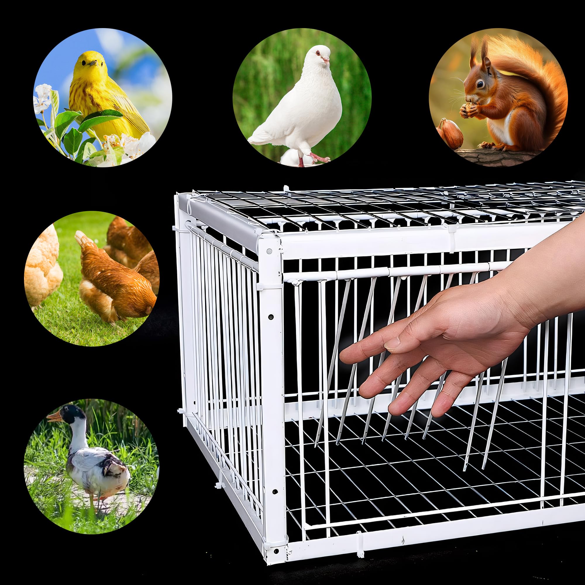 KUJIBGY Pigeon Trap with Escape-Proof Design Small Birds Live Hunting Trap Iron Cage with One-Way Entry Outdoor Patio Garden Farm Warehouse Humane Trap for Pigeon Sparrow Mouse Rabbit Chicken