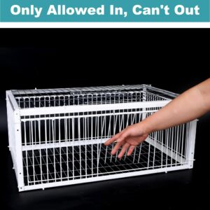 KUJIBGY Pigeon Trap with Escape-Proof Design Small Birds Live Hunting Trap Iron Cage with One-Way Entry Outdoor Patio Garden Farm Warehouse Humane Trap for Pigeon Sparrow Mouse Rabbit Chicken