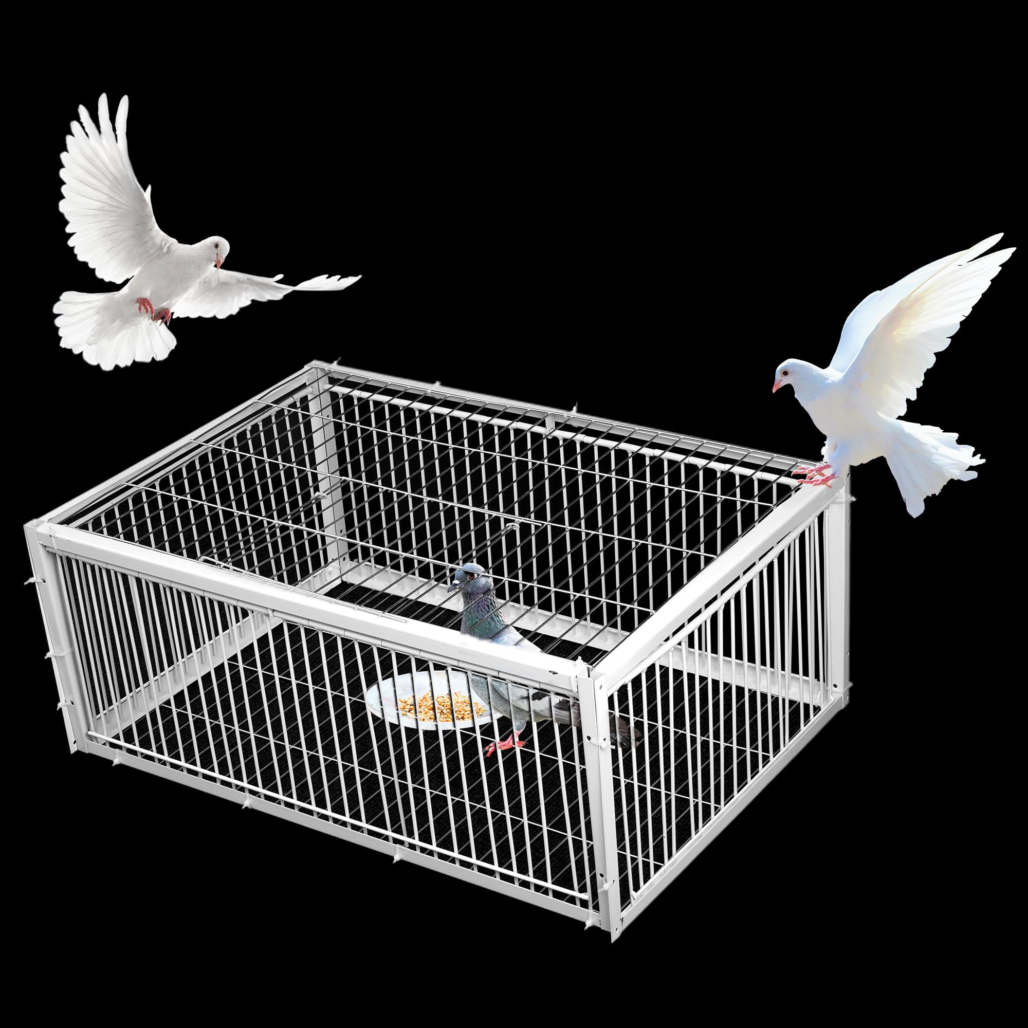 KUJIBGY Pigeon Trap with Escape-Proof Design Small Birds Live Hunting Trap Iron Cage with One-Way Entry Outdoor Patio Garden Farm Warehouse Humane Trap for Pigeon Sparrow Mouse Rabbit Chicken