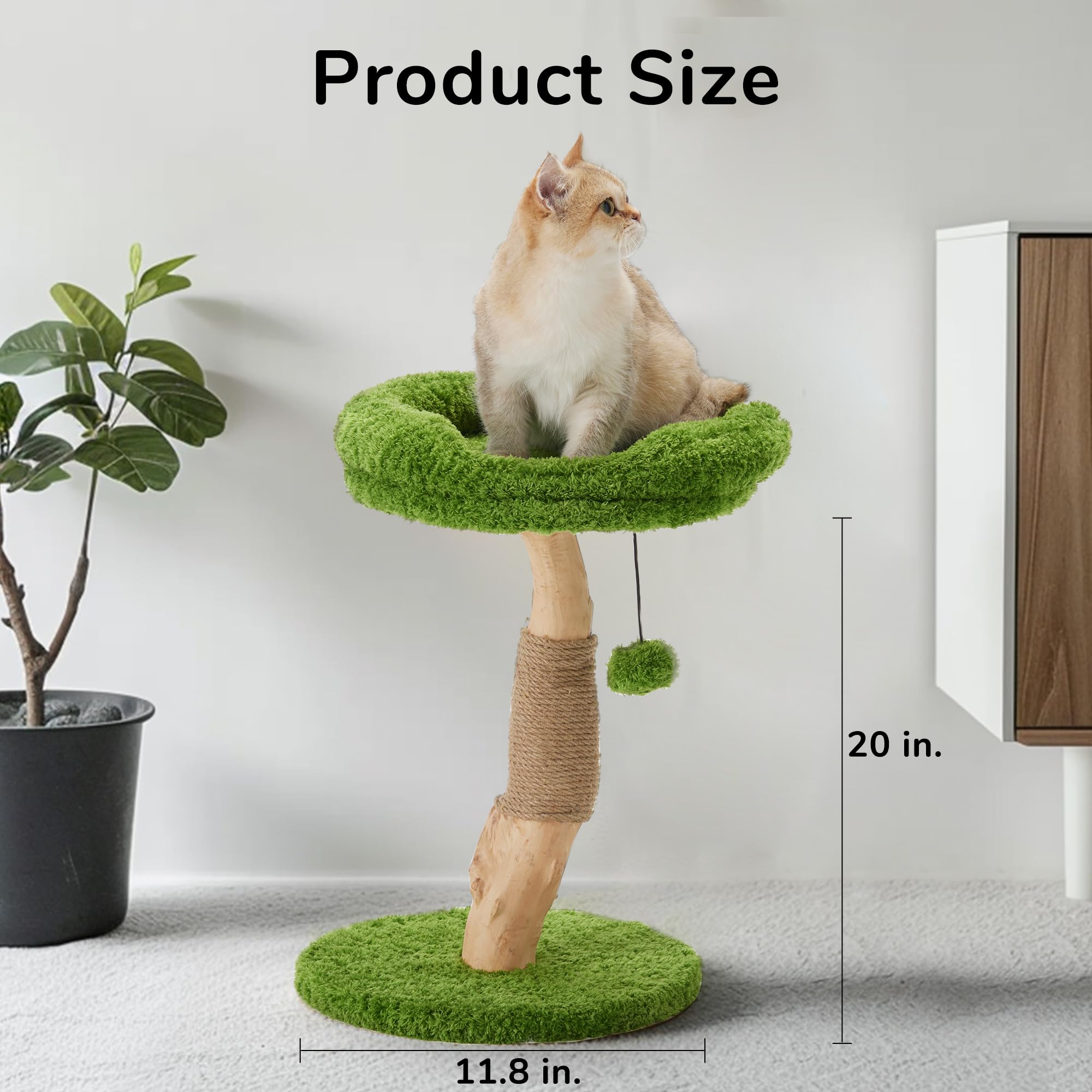 Cat Scratching Post, 20" Plant Style Kitten Scratcher, FUKUMARU Solid Wood Cat Post with Bed, Small Cat Tower Tree with Natural Jute Rope for Indoor Kitten & Cats