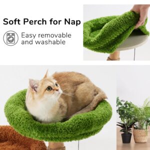 Cat Scratching Post, 20" Plant Style Kitten Scratcher, FUKUMARU Solid Wood Cat Post with Bed, Small Cat Tower Tree with Natural Jute Rope for Indoor Kitten & Cats