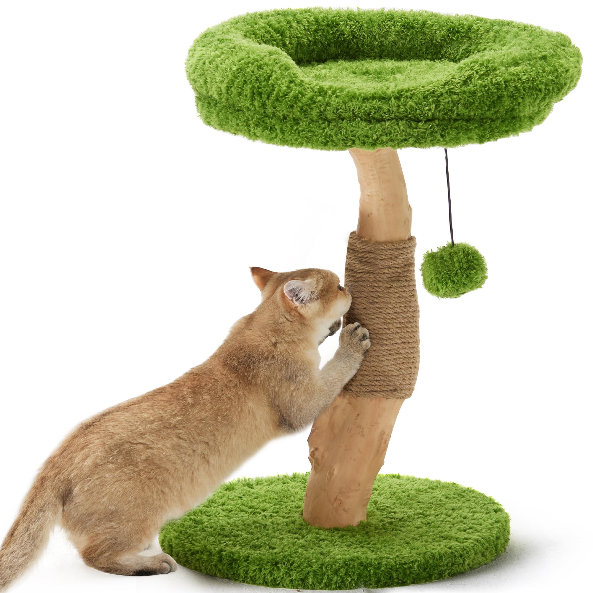 Cat Scratching Post, 20" Plant Style Kitten Scratcher, FUKUMARU Solid Wood Cat Post with Bed, Small Cat Tower Tree with Natural Jute Rope for Indoor Kitten & Cats