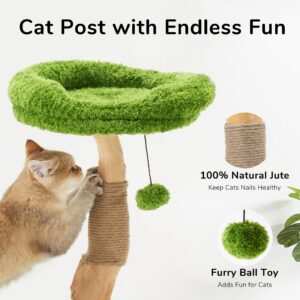 Cat Scratching Post, 20" Plant Style Kitten Scratcher, FUKUMARU Solid Wood Cat Post with Bed, Small Cat Tower Tree with Natural Jute Rope for Indoor Kitten & Cats