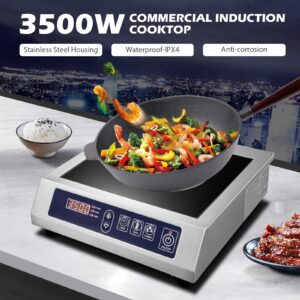 Commercial Induction Cooktop,3500W/ 240V Portable Electric Induction Countertop Burner with Stainless Steel Housing, Durable Commercial Induction Hot Plate for Hotel Restaurant School