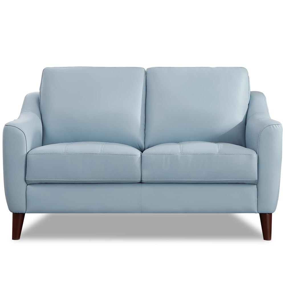 Hydeline Ersa Top Grain Leather Loveseat, Spa Blue, Memory Foam and Springs Seating