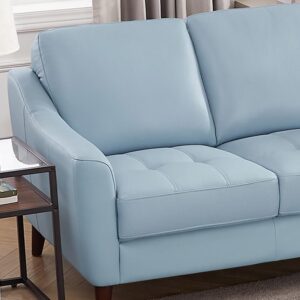 Hydeline Ersa Top Grain Leather Loveseat, Spa Blue, Memory Foam and Springs Seating