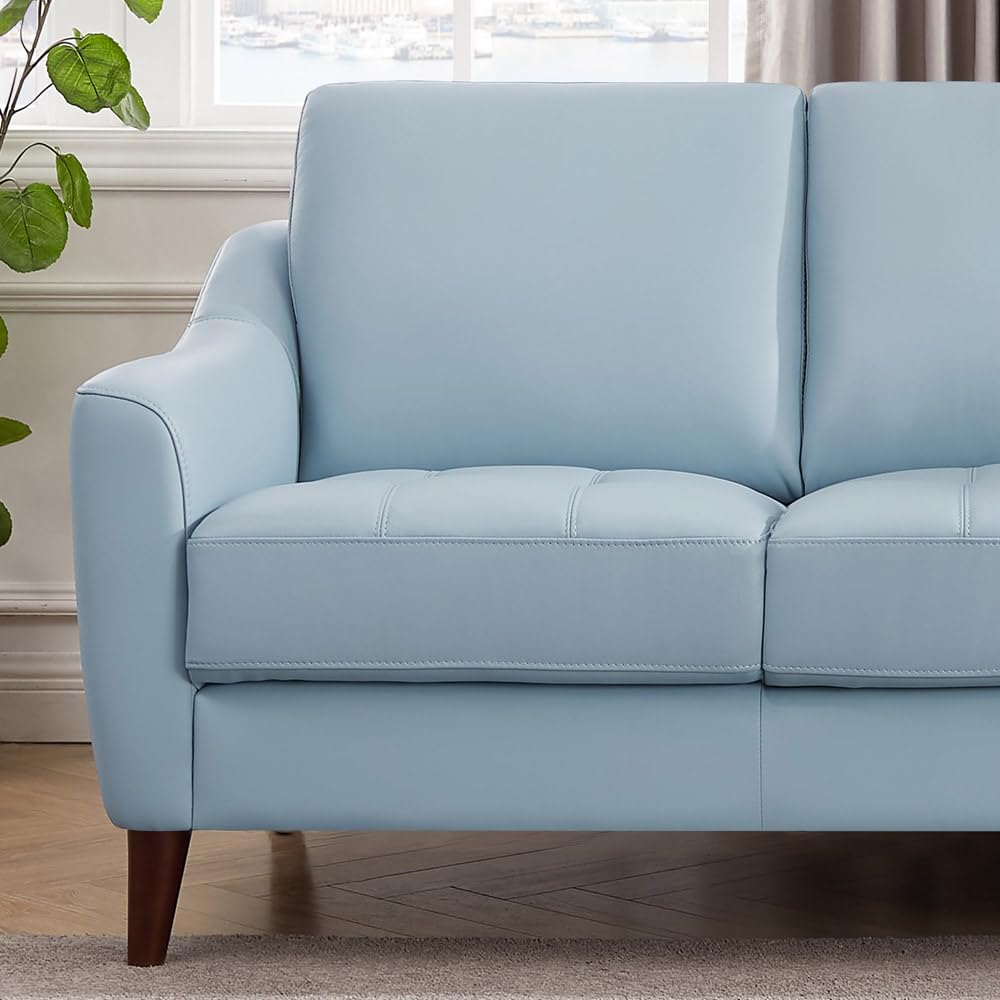 Hydeline Ersa Top Grain Leather Loveseat, Spa Blue, Memory Foam and Springs Seating