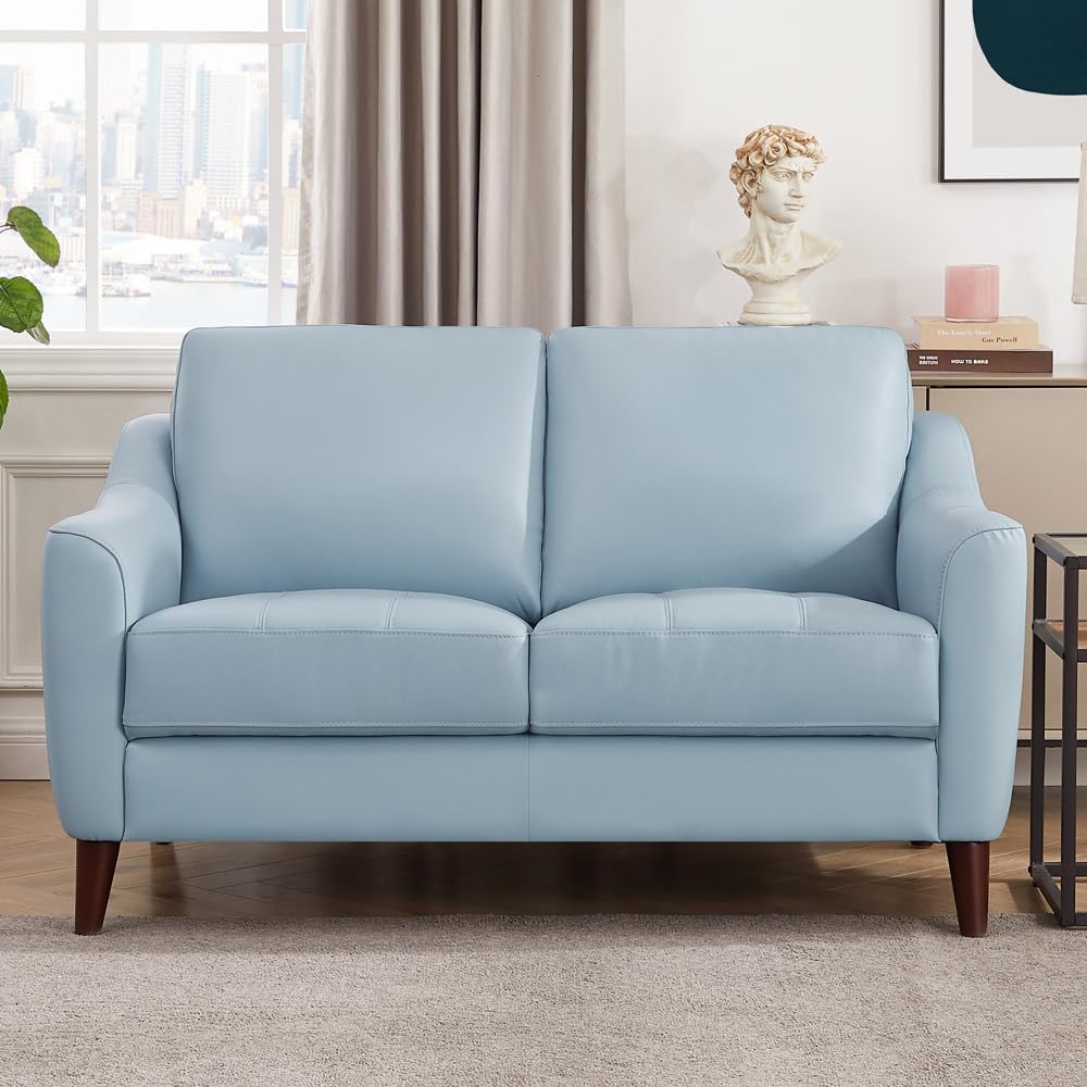 Hydeline Ersa Top Grain Leather Loveseat, Spa Blue, Memory Foam and Springs Seating