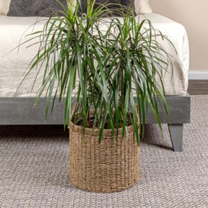 Household Essentials Round Seagrass Basket with Handles, Natural