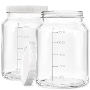 qianfenie 2 pack 0.8 gallon(3200ml) glass jar with airtight lid, large mason jars wide mouth with clear scale marks, heavy duty glass food storage jars with reusable lid for sugar, pasta, flour, oats