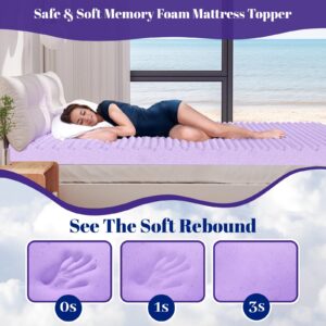 BlissTrends 3 Inch Memory Foam Mattress Topper Queen Size, Extra Thick Plush Mattress Pad, Gel Infusion, CertiPUR-US Certified Mattress Topper for College, Dorm, Bedroom - Purple