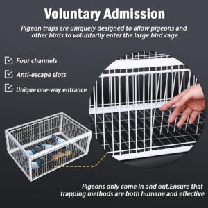 Quaocens Pigeon Traps with Four Channel One Way Entrance,Pigeon Cage with Anti-Escape Slot,Portable Easy to Assemble Outdoor Bird Cage for Rooftops Patios Gardens Balcony Farms Warehouses