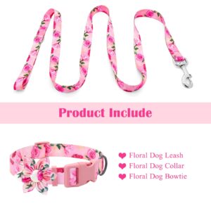 DQGHQME Dog Collar and Leash Set Girls 5ft/Foot Pink Dog Leash and Collar Adjustable Dog Harness and Leash Set Puppy Collars with Beautiful Floral Bow Tie for Small Medium Large Female Dogs,Rose Pink