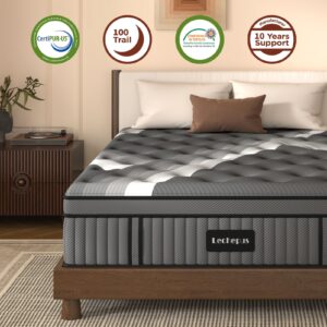 Queen Mattress,Lechepus 14Inch Soft Memory Foam Hybrid Mattress in box,Plush Feel Queen Size Mattress with Supportive Pocket Coil for Back Pain Relief,Motion Isolation, None of Fiberglass