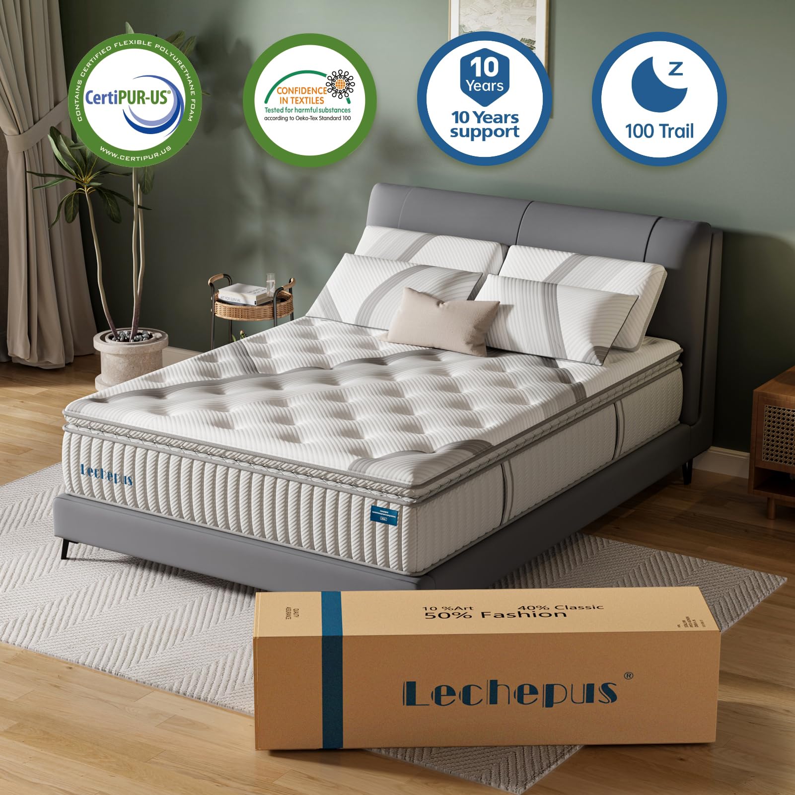 Lechepus Queen Mattress,12Inch Gel Memory Foam Hybrid Mattress with Pocket Spring,Queen Size Mattress in Box, Medium Firm Mattress for Comfort Sleep,10 Years Support,CertiPUR-US Foam