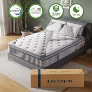 Lechepus King Mattress,14Inch Memory Foam Hybrid Mattress with 7-Zone Pocket Spring,King Size Mattress in Box, Medium Plush Mattress for Back Pain Relief,Motion Isolation,CertiPUR-US