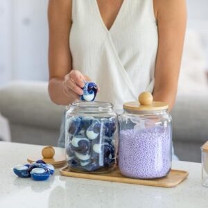 Glass Laundry Jars with Airtight Lids - Kitchen & Laundry Room Organization Containers with Dryer Sheet Holder,Bamboo Tray - Laundry Detergent Powder Half Gallon Storage Canisters with Labels