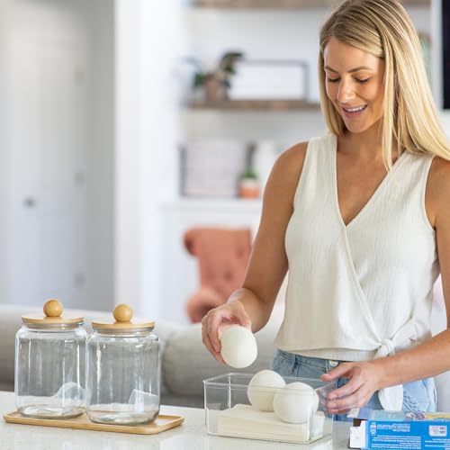 Glass Laundry Jars with Airtight Lids - Kitchen & Laundry Room Organization Containers with Dryer Sheet Holder,Bamboo Tray - Laundry Detergent Powder Half Gallon Storage Canisters with Labels