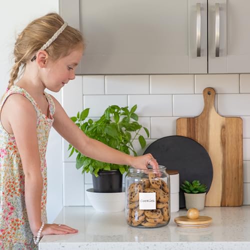 Glass Laundry Jars with Airtight Lids - Kitchen & Laundry Room Organization Containers with Dryer Sheet Holder,Bamboo Tray - Laundry Detergent Powder Half Gallon Storage Canisters with Labels