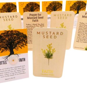 Mustard Seed Holy Card Bulk Pack Mixed 10 Pack Bundle Matthew 17:20 Faith Prayer and Cards with Seeds, 5 of Each