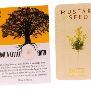 Mustard Seed Holy Card Bulk Pack Mixed 10 Pack Bundle Matthew 17:20 Faith Prayer and Cards with Seeds, 5 of Each