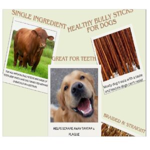 ELITE TREAT Natural Odor Bully Sticks for Dogs，Healthy Long Lasting Pizzle Chews (6 Inch, 24 Pack)，All Natural，Free Range 100% Grass-Fed Beef，Grain-Free (Medium/Thin)