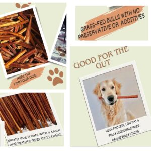 ELITE TREAT Natural Odor Bully Sticks for Dogs，Healthy Long Lasting Pizzle Chews (6 Inch, 24 Pack)，All Natural，Free Range 100% Grass-Fed Beef，Grain-Free (Medium/Thin)