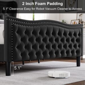 Generic Full Bed Frame, 52"" Headboard Upholstered Bed with Tall Footbaord, Velvet Upholstered Deep Button Tufted Wingback Platform Bed, No Box Spring Required/Wood Slat Support/Black