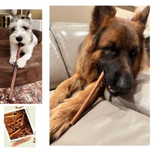 ELITE TREAT Natural Odor Bully Sticks for Dogs，Healthy Long Lasting Pizzle Chews (6 Inch, 24 Pack)，All Natural，Free Range 100% Grass-Fed Beef，Grain-Free (Medium/Thin)