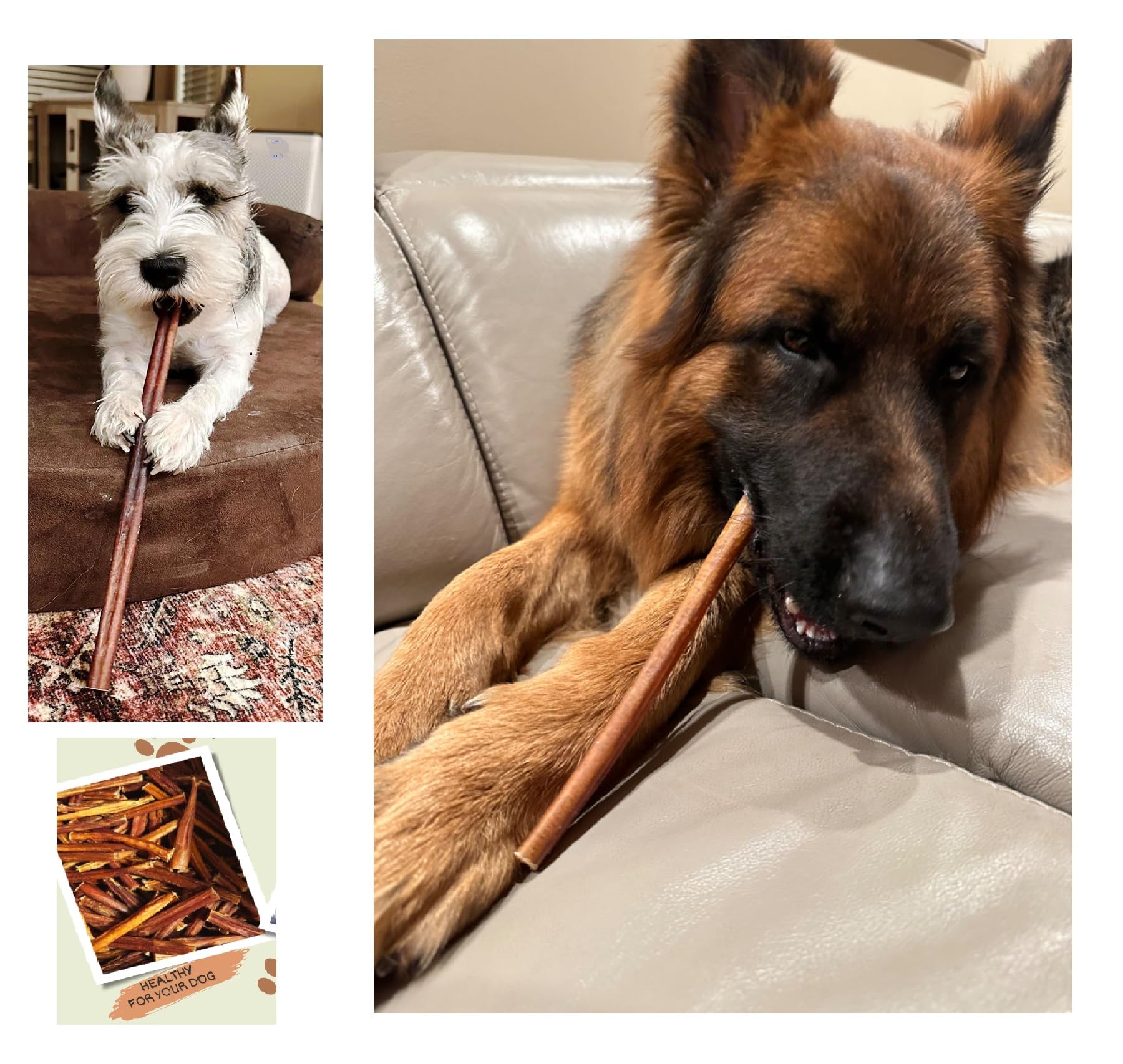 ELITE TREAT Natural Odor Bully Sticks for Dogs，Healthy Long Lasting Pizzle Chews (6 Inch, 24 Pack)，All Natural，Free Range 100% Grass-Fed Beef，Grain-Free (Medium/Thin)