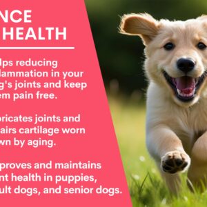 Petz Park Glucosamine for Dogs - Hip & Joint Support Powder with Chondroitin & MSM - Arthritis Pain Relief, Hip Dysplasia Treatment - 800mg Glucosamine - 45 Scoops