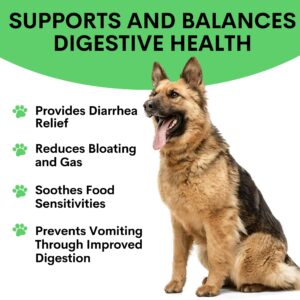 Probiotic for Dogs - Grain-Free Digestive Support Powder for Diarrhea, Bloating & Gas - Promotes Immune Support & Oral Health - Reduces Paw Licking, Allergies & Yeast Infections - 2.7 oz - 45 Scoops