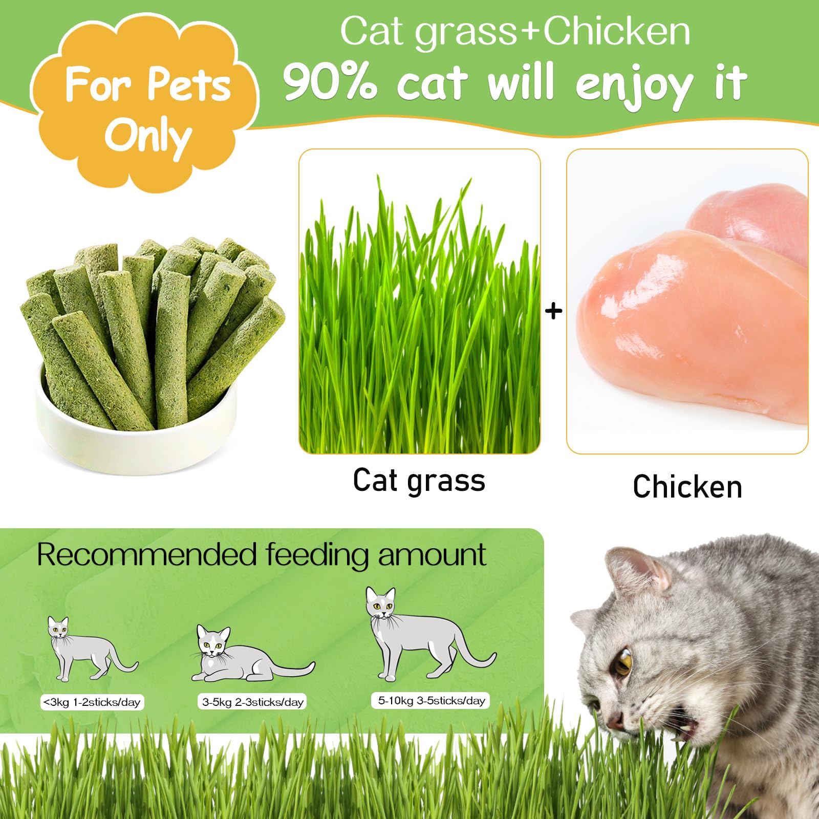 HavenJanny 50g Cat Grass Teething Stick, Freezed Drying Cat Grass Sticks Snacks for Cats, Edible Cat Treats for Teeth Cleaning and Hairball Removal