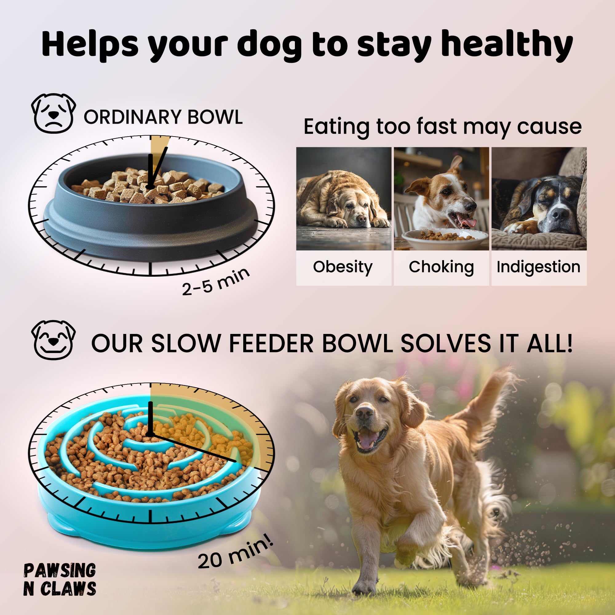 Pawsing N Claws slow feeder dog bowls - Anti-Choking & Non Slip Interactive Dog Feeding Bowls for Dry/Wet Food That Slow Down Eating - Maze Puzzle Design Bowl - Medium Regular (Turquoise)