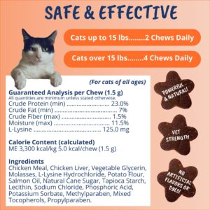 Under the Weather Pet Daily Cat L-Lysine | Boost Immune System Reduce Respiratory Symptoms | Maintain Normal Immune System Response | 60 Star Shaped Soft Chews