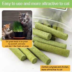 HavenJanny 50g Cat Grass Teething Stick, Freezed Drying Cat Grass Sticks Snacks for Cats, Edible Cat Treats for Teeth Cleaning and Hairball Removal