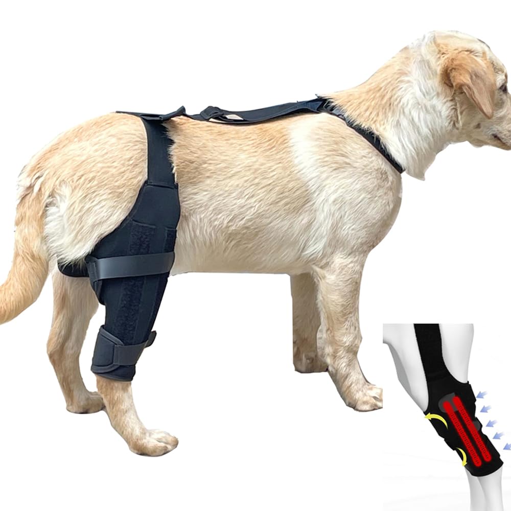 Premium Dog ACL Knee Brace for Torn ACL Hind Leg Support - Cruciate Care & Recovery, Adjustable Leg Braces for Back Leg, Hip Support - Small, Medium, Large Sizes with Extra Stabilizers (Black, L)