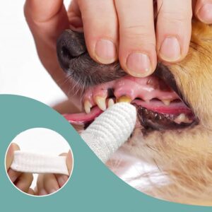 20 PCS Soft Fabric Finger Toothbrush Kit for Dogs and Cats, Pet Dental Finger Brush, Teeth Oral Cleaning, Dental Care for Dog Cat Teeth Cleaning Remove Plaque and Tartar