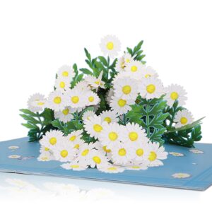 omgpeike 3d daisy flowers pop up card for teacher appreciation gifts, thank you, congratulations, suitable for mom, daughter, wife, grandma